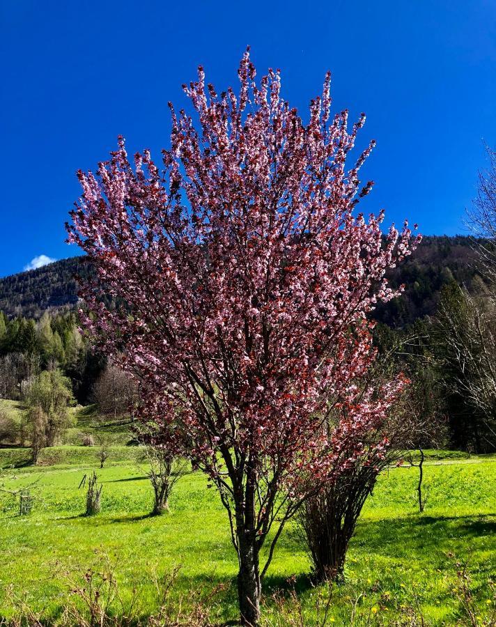 Residence Dolomiti Forni di Sopra Εξωτερικό φωτογραφία